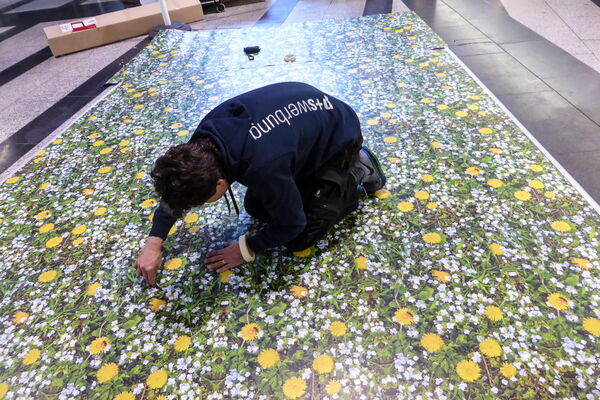 Ein Mitarbeiter von PSW beschriftet den Boden am Hauptbahnhof Zürich mit dem Motiv einer Blumenwiese